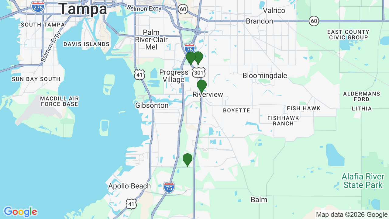 Map of E85 stations in Riverview, FL