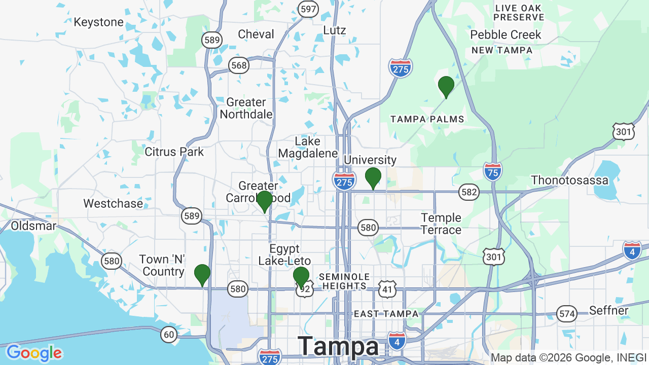 Map of E85 stations in Tampa, FL